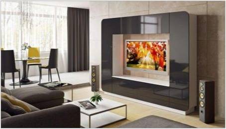 Nábytek pro obývací pokoj v televizi: druhů, výrobců a tipy