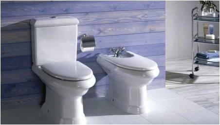 Roca toalety: popis, typy a výběr