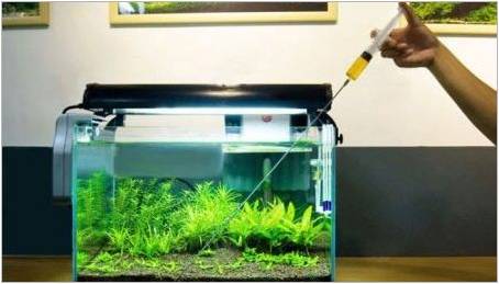 Jak az toho, co můžete udělat hnojiva pro akvarijní rostliny s vlastníma rukama?