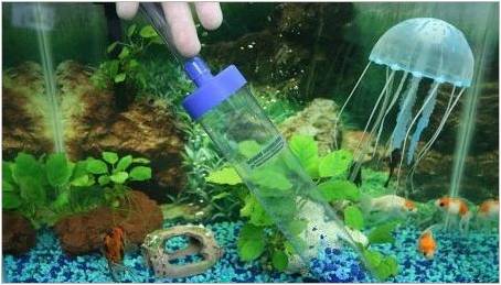 Jak čistit filtr v akváriu?