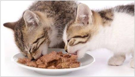 Popis mokré potraviny purina Pro plán kotě