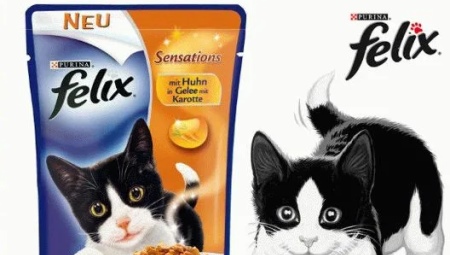 Vše o Felix krmivo pro koťata