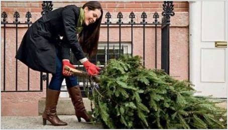 Kdy a jak odstranit vánoční strom po novém roce?
