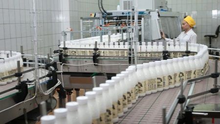 Vše o povolání technolog výroby mléka a mléčných výrobků