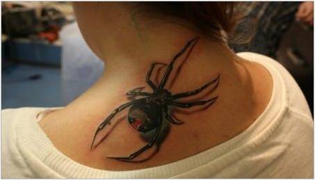 Což znamená tetování s pavouky a kde je umístit?