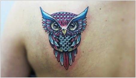 Jaké jsou tetování s sovy pro dívky a kde je vyplnit?