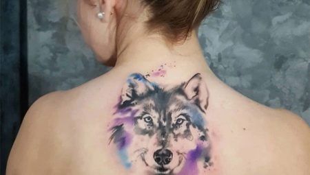 Tattoo & # 171 + Wolf & # 187 + pro dívky: Význam a náčrtky
