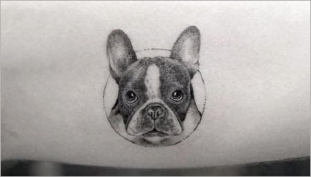Tattoo Přehled & # 171 + Bulldog & # 187 +