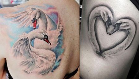 Vše o Tattoo & # 171 + Swan & # 187 +